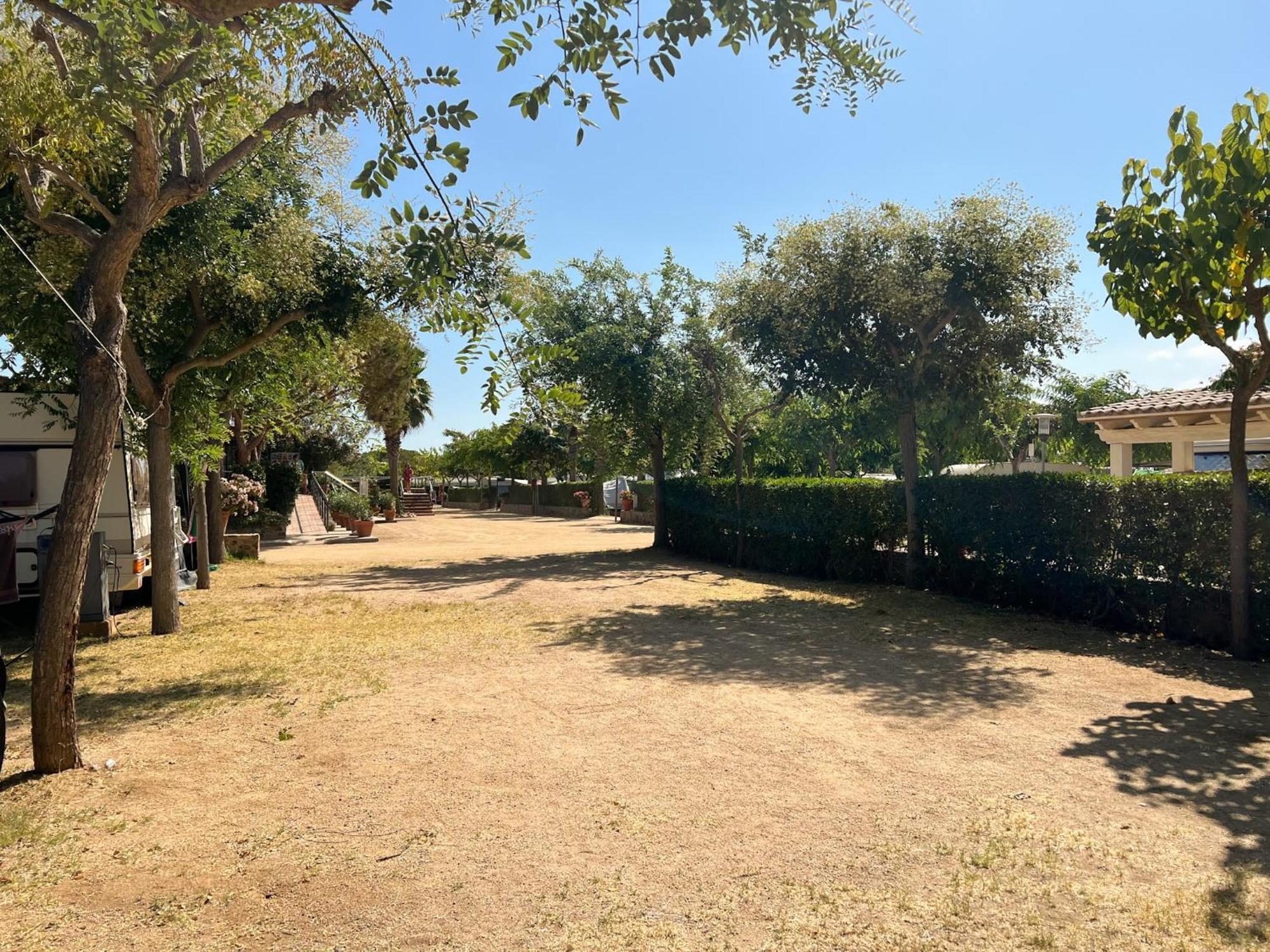 Del Mar Camping